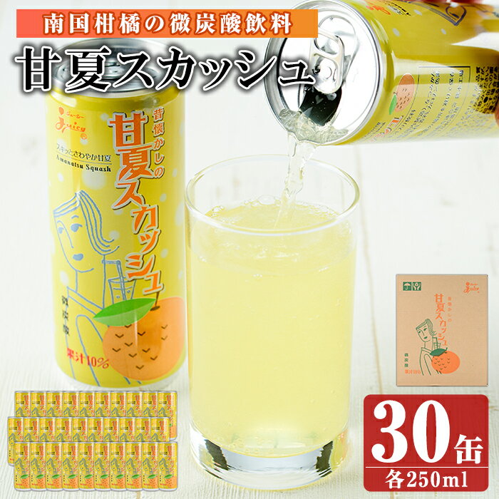 南国柑橘の微炭酸ジュース!「ジューシー甘夏スカッシュ」(250ml×30缶)柑橘類 大将季 紅甘夏 甘夏 あまなつ みかん ミカン オレンジ ジュース 果汁 微炭酸 フルーツ 果物 国産 九州産【鹿児島県経済農業協同組合連合会】keizai-1257