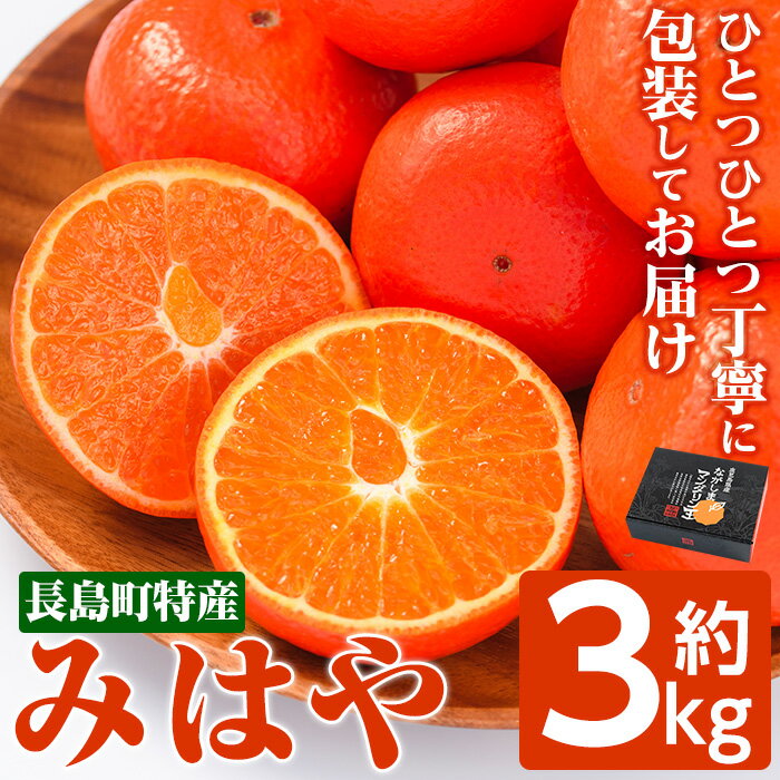 6位! 口コミ数「0件」評価「0」【先行予約】 みはや (露地)約3kg 温州みかん よりも甘みが強い 2024年12月より順次発送 ふるさと納税 みかん 柑橘 果物 フルー･･･ 