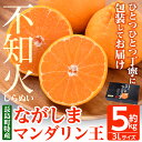 ながしまマンダリン王(不知火・紅) 約5kg 2025年2月中旬より順次発送 オレンジ と ポンカン の交配 不知火 しらぬい ふるさと納税 みかん 柑橘 果物 フルーツ 国産 ふるさと 人気 ランキング mandarin-402-1