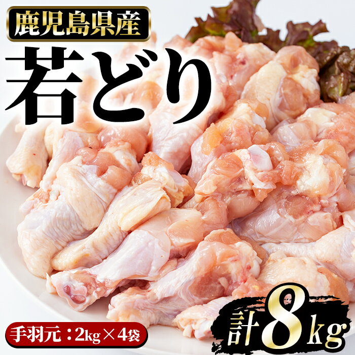 若どり手羽元(8kg)長島町 特産品 とり肉 鶏肉 トリ肉 セット[まつぼっくり]matu-6091