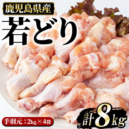 若どり手羽元(8kg)長島町 特産品 とり肉 鶏肉 トリ肉 セット【まつぼっくり】matu-6091