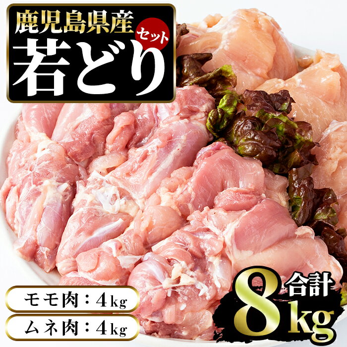 【ふるさと納税】若どりムネ肉4kg・モモ肉4kgセット(合計