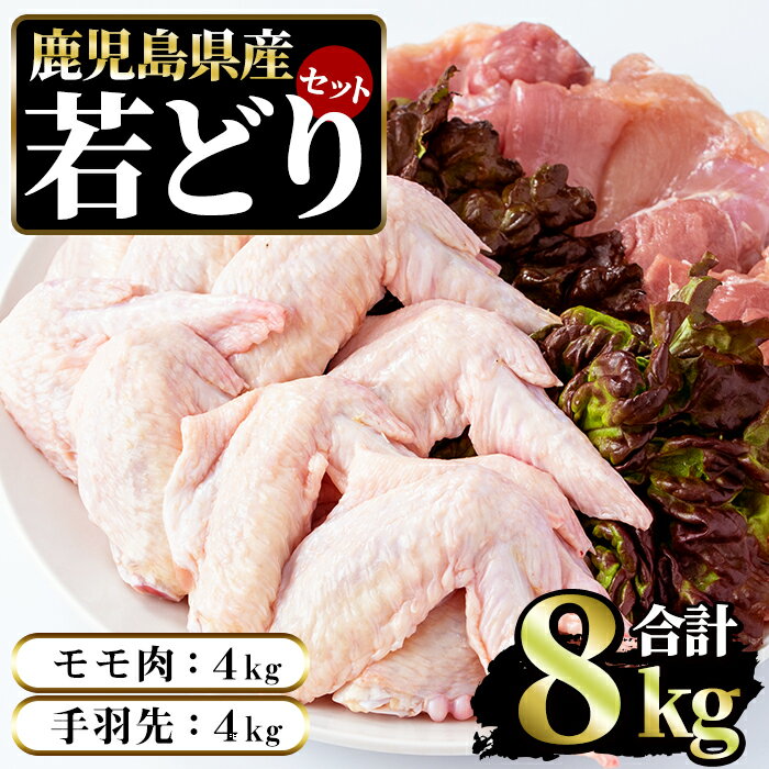 【ふるさと納税】若どりモモ肉4kg・手羽先4kgセット(合計