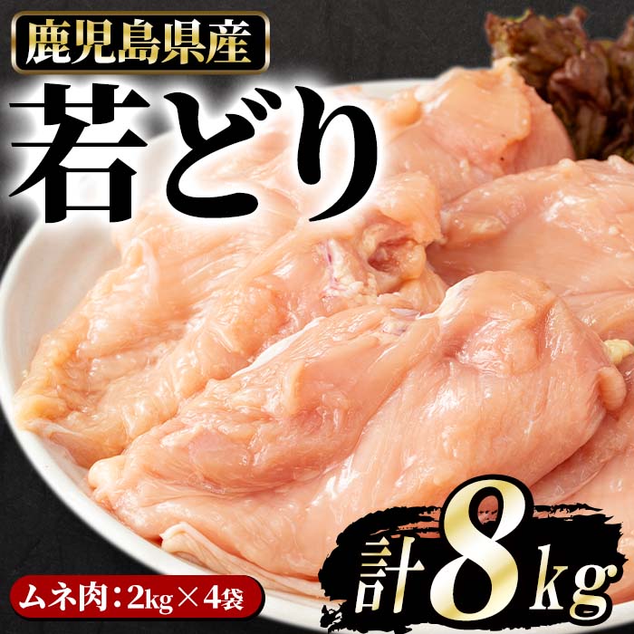 【ふるさと納税】まつぼっくり　若どりムネ肉8kg