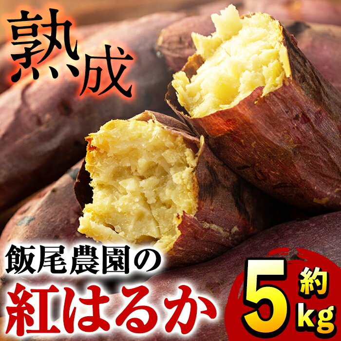 飯尾農園の「熟成」紅はるか 約5kg_miio-874