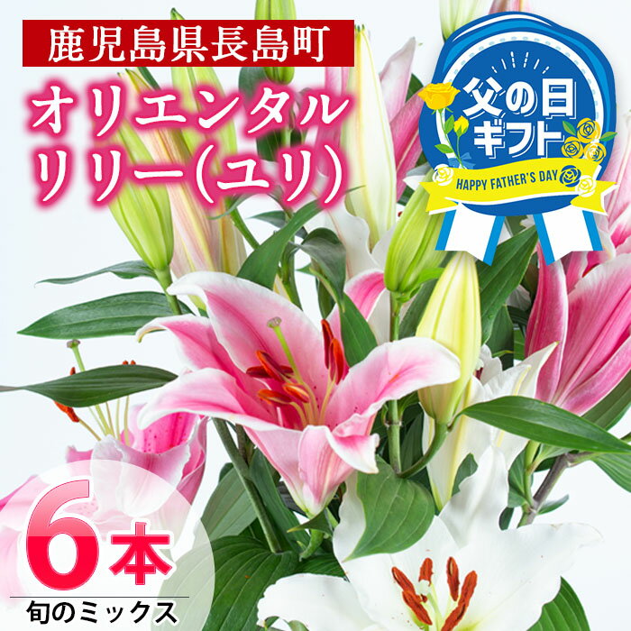 13位! 口コミ数「16件」評価「4.69」＼ 父の日 に最適／ 6/5決済完了で6/16までにお届け！ 高評価★4.69 「 オリエンタルリリー ( ユリ )」旬のミックス(6本) ･･･ 