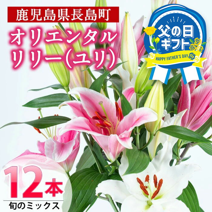 花・ガーデン・DIY人気ランク84位　口コミ数「8件」評価「5」「【ふるさと納税】＼ 父の日 に最適／ 6/5決済完了で6/16までにお届け！ 高評価★5.00 「 オリエンタルリリー ( ユリ )」旬のミックス(12本) ふるさと納税 花 花束 鹿児島県産 国産 九州 長島町 百合 植物 フラワー 観賞用 ギフト 贈答 記念日 【宮路園芸】miyaji-6058」