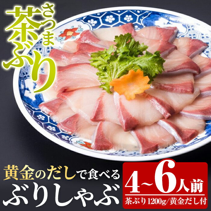 【ふるさと納税】〈鹿児島県長島町産〉 茶ぶりのどん薩摩の黄金出汁 しゃぶしゃぶセット（4〜6人前）ふるさと納税 国産 鹿児島県産 ブリ 茶ぶり 鰤 海鮮 海産物 魚介 刺身 海鮮丼 九州産 お刺身 しゃぶしゃぶ コース 東京駅 どん薩摩【株式会社 Never Land】never-6024