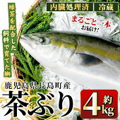 ڤդ뤵Ǽǡ֤饦ɡ4kg˶彣绺ĹĮޤ֤֥곤ʪɿȤּ֤ѵơƤ֥纬ڥusui-1030