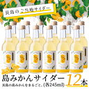 25位! 口コミ数「0件」評価「0」島みかんサイダー(12本)国産 鹿児島 長島 蜜柑 ミカン 柑橘 果物 フルーツ ドリンク 飲料 ジュース 炭酸 セット【レガーレ・ワキタ】･･･ 