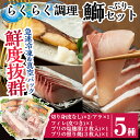 15位! 口コミ数「11件」評価「4.73」らくらく調理ぶりセット(5種)国産 鹿児島県産 ブリ ぶり 鰤 急速冷凍 切身 切り身 フィレ アラ 塩麹 照り焼 海鮮 海産物 魚介 魚 ･･･ 