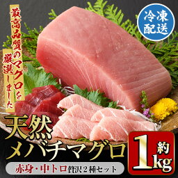 【ふるさと納税】天然メバチマグロ 贅沢2種セット(合計約1kg)天然 まぐろ 鮪 中トロ トロ 赤身 刺身 魚 まぐろ丼 冷凍 食べ比べ ブロック yushin-6030