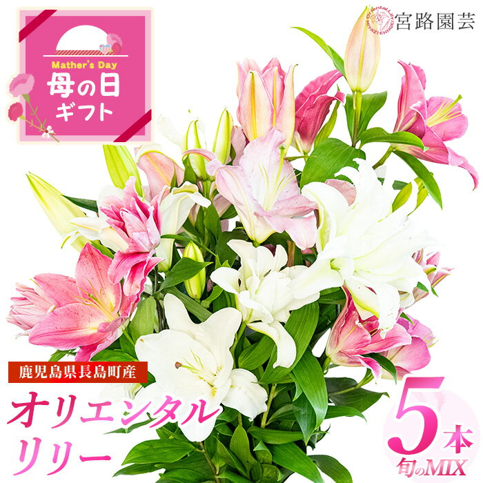 【ふるさと納税】＼母の日に最適／4/27決済完了で5/11までにお届け！高評価★4.69 「 オリエンタルリリー ( ユリ )」旬のミックス(5本) ふるさと納税 花 花束 鹿児島県産 国産 九州 長島町 百合 植物 フラワー 観賞用 ギフト 贈答 記念日 【宮路園芸】miyaji-3331