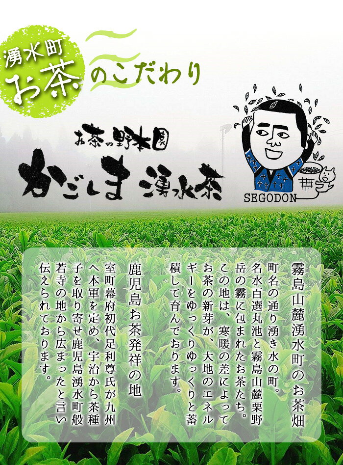 【ふるさと納税】霧島山麓で育った新芽のみで作った「厳選一番茶セット」やぶきた・おくみどり・さえみどり使用【野本園】が大人気返礼品になっている理由とは　ふるさと納税　人気　返礼品　ランキング