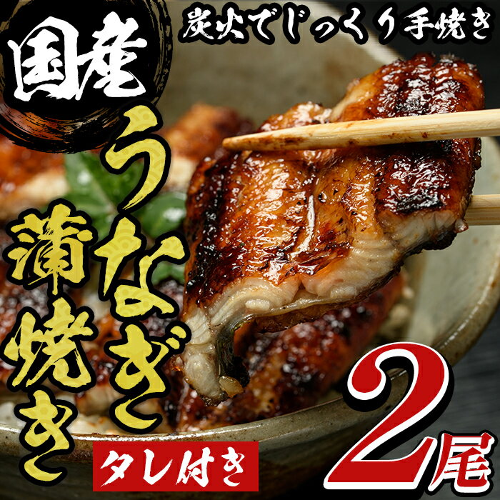 【ふるさと納税】国産うなぎ蒲焼き2尾！ 国産 九州産 鰻 ウナギ うな重 うな丼 おかず 特産品 お土産 ギフト プレゼント【尾方屋】のサムネイル