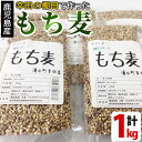 【ふるさと納税】棚田で作ったもち麦200g×5袋(計1kg)