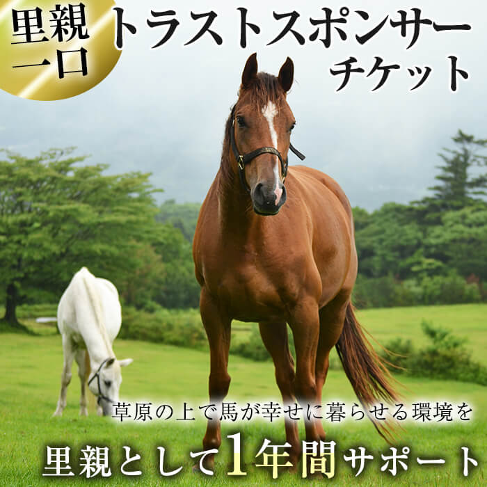 【ふるさと納税】馬主のいない馬を助けたい！トラストスポンサーチケット(1枚) 里親として1年間サポー...