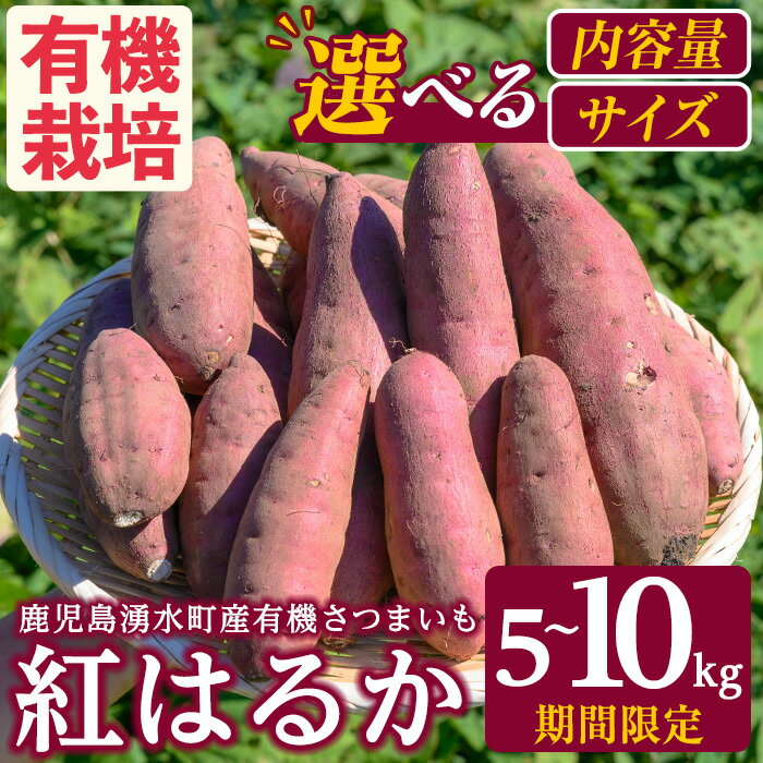 【ふるさと納税】＜先行予約受付中！2023年10月上旬から順次発送予定＞≪数量限定≫湧水町産有機さつまいも(紅はるか)10kg！国産 九州産 鹿児島産 有機栽培 サツマイモ 生芋 芋 紅春香 焼き芋 天ぷら おかず 野菜 やさい 旬【そのやま農園】のサムネイル