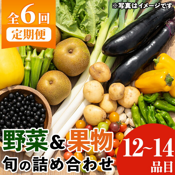 【ふるさと納税】《定期便・全6回》野菜と果物旬の詰め合わせ(12～14品目) 国産 九州産 鹿児島県産 野菜 やさい果物 くだもの フルーツ デザート おかず 詰め合わせ お楽しみ セット 旬【鹿児島県経済農業協同組合連合会】