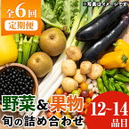 【ふるさと納税】《定期便・全6回》野菜と果物旬の詰め合わせ(12～14品目) 国産 九州産 鹿児島県産 野菜 やさい果物 くだもの フルーツ デザート おかず 詰め合わせ お楽しみ セット 旬【鹿児島県経済農業協同組合連合会】