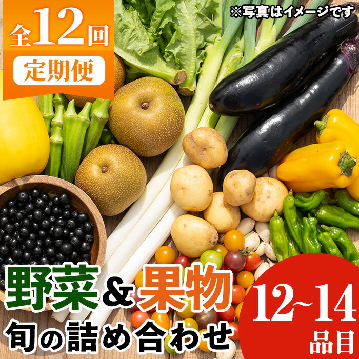 【ふるさと納税】《定期便・全12回》野菜と果物旬の詰め合わせ 12～14品目 国産 九州産 鹿児島県産 野菜 やさい果物 くだもの フルーツ デザート おかず 詰め合わせ お楽しみ セット 旬【鹿児…