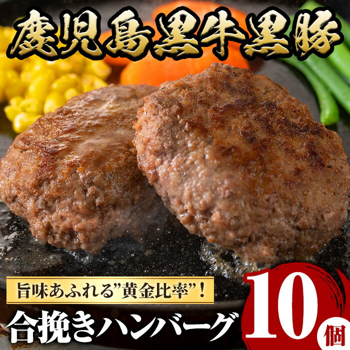 【ふるさと納税】鹿児島黒牛黒豚ハンバーグ(10個・計1.3kg) 国産 九州産 鹿児島県産 お肉 ぶた ブタ 豚肉 牛肉 ミンチ パック 小分け 冷凍 冷凍ハンバーグ 定期便 頒布会 毎月 全3回 おかず 惣菜 調理 お弁当 【さつま屋産業】