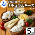 【ふるさと納税】放牧牛乳の手作りチーズセット(5種) 国産 鹿児島県産 湧水町産 乳製品 ちーず 生チーズ モッツァレラチーズ ボッコンチーニ クリームチーズ ストリングチーズ スカモルツァ 調味料 おつまみ おやつ 濃厚 手作り 食べ比べ 詰め合わせ 【西ノ村ファーム】