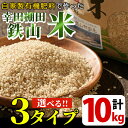 【ふるさと納税】＜選べる玄米・白米・無洗米＞10kg(5kg