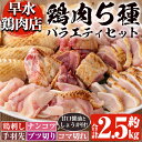 18位! 口コミ数「12件」評価「4.25」＜2024年5月発送分(5月31日迄に発送)＞鹿児島県産！自家製鶏の5種バラエティセット(約2.5kg) 国産 九州産 鳥刺し 鶏刺し 鶏肉･･･ 