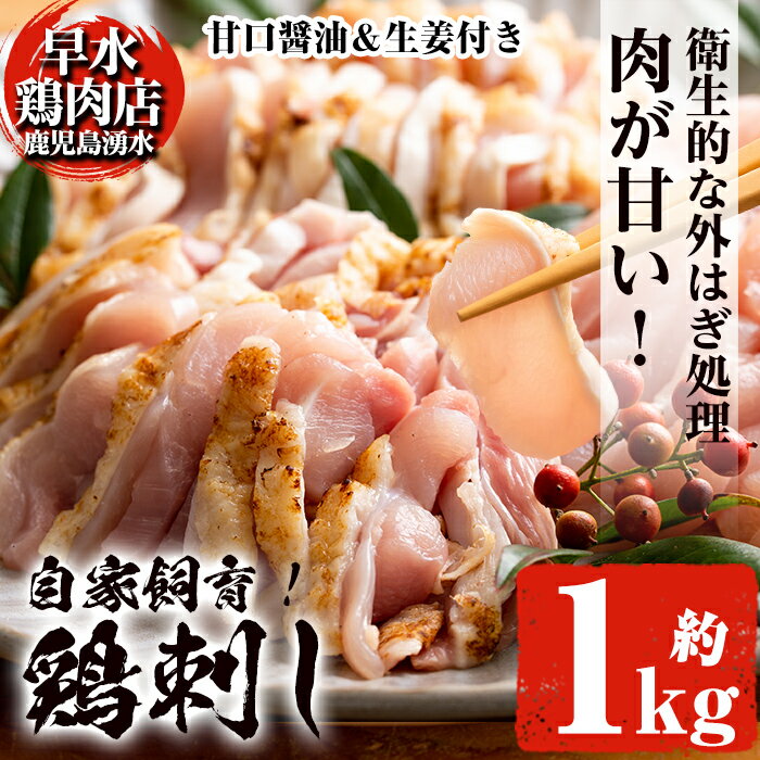 [発送時期が選べる]鹿児島県産の自家製鶏の鶏刺しセット(計1kg・250g×4パック) 国産 九州産 鳥刺し 鶏刺し 鳥さし 鶏さし とりさし 鶏肉 とり肉 もも肉 むね肉 とり お肉 刺身 おつまみ タレ 生姜 甘口醤油 醤油付き 小分け 冷凍[早水鶏肉店]