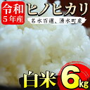 【ふるさと納税】名水百選の郷！ヒノヒカリ白米6kg(2kg×