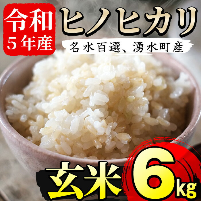 【ふるさと納税】名水百選の郷！ヒノヒカリ玄米6kg（2kg×3袋）国産 九州産 鹿児島産 お米 おこめ 米 ...