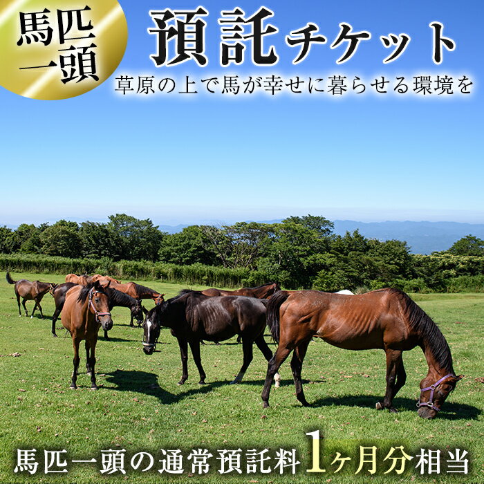 【ふるさと納税】預託チケット 馬匹一頭の通常預託料1ヶ月分に相当するチケット 1枚 馬 競走馬 競馬 乗馬 乗用馬 預託【NPO法人ホーストラスト】