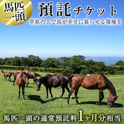 預託チケット！馬匹一頭の通常預託料1ヶ月分に相当するチケット(1枚) 馬 競走馬 競馬 乗馬 乗用馬 預託【NPO法人ホーストラスト】