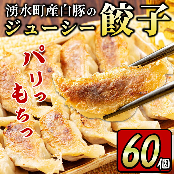 【ふるさと納税】《数量限定》 湧水町産白豚のジューシー餃子 生 ギョーザ 72個 12個入 6パック ≪ パリッ と もっちり で ジューシー ≫ ギョウザ タレ付き パリパリ もちもち ジューシー おかず 弁当 冷凍 冷凍食品 冷凍生餃子 中華 豚肉 国産 鹿児島 湧水町【財宝】のサムネイル