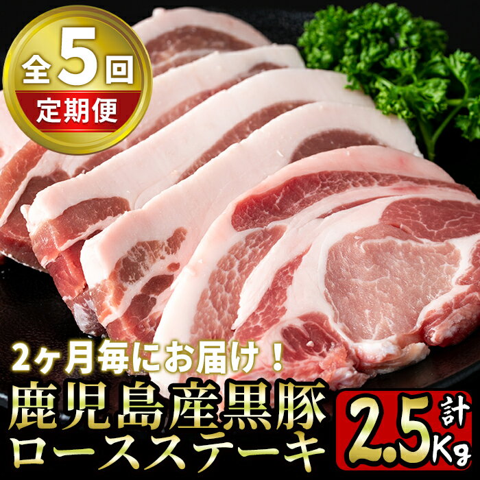 【ふるさと納税】《定期便・全5回》鹿児島産黒豚ロースステーキ計2.5kg(100g×5枚×5回)良質な赤身とジューシーな脂身を堪能！100g×5枚ずつを2ヶ月毎に5回お届け【財宝】