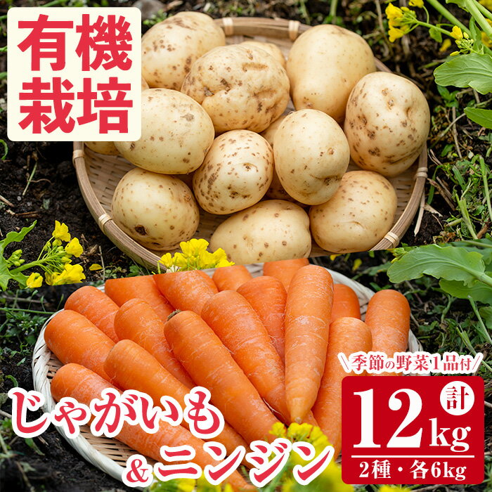 [数量・期間限定]有機JAS取得!湧水町産にんじん&じゃがいも(各6kg・計12kg)+季節の野菜1品セット!国産 九州産 鹿児島産 有機野菜 有機栽培 人参 ニンジン 芋 いも 野菜 やさい おかず 旬 詰め合わせ オーガニック[そのやま農園]