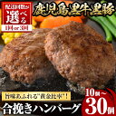 【ふるさと納税】<配送回数が選べる!>鹿児島黒牛黒豚ハンバーグ(10個/30個) 肉 豚 ぶた ブタ 豚肉 牛 牛肉 パック 小分け 冷凍 ハンバーグ はんばーぐ 合挽き あいびき 定期便 毎月 おかず 惣菜 調理【さつま屋産業】
