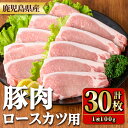 107位! 口コミ数「0件」評価「0」鹿児島県産豚肉ロースとんかつ用(100g×30枚) 国産 九州産 豚肉 ぶた肉 お肉 ロース とんかつ ポークステーキ 冷凍 【TRINITY】