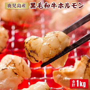 【ふるさと納税】【 数量限定 】鹿児島県産 黒毛和牛 ホルモン ( 小腸 )　1kg [ 200g × 5袋 ] | 牛ホルモン 牛肉 和牛 黒毛和牛 国産 牛 肉 お肉 にく 小腸 鹿児島県 大崎町 鹿児島 大崎 鹿児島県大崎町 楽天ふるさと 納税 お取り寄せ ご当地