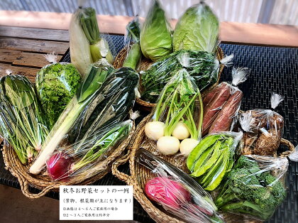 西洋野菜と季節の鹿児島野菜セット（4～6人ご家族用） | 鹿児島県 大崎町 九州産 鹿児島県産 野菜 やさい ベジタブル ベジタリアン 国産 大根 キュウリ トマト じゃがいも ネギ 特産品 名産品 ご当地 ご当地グルメ 野菜セット 詰め合わせ お取り寄せ 鹿児島