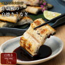 【ふるさと納税】鹿児島県大隅産 白焼き鰻 ( 150g ~ 160g ) 5尾 | ふるさと納税 うなぎ 白焼き うなぎ白焼き 白焼きうなぎ 白焼 厳選 鰻 ウナギ 国産 国産うなぎ 国産鰻 鹿児島県産 鹿児島県大崎町 特産品 名産品