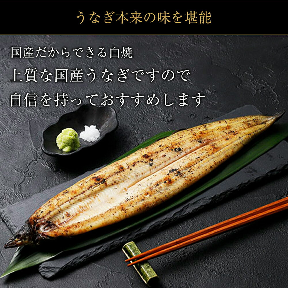 鹿児島県大崎町の画像2