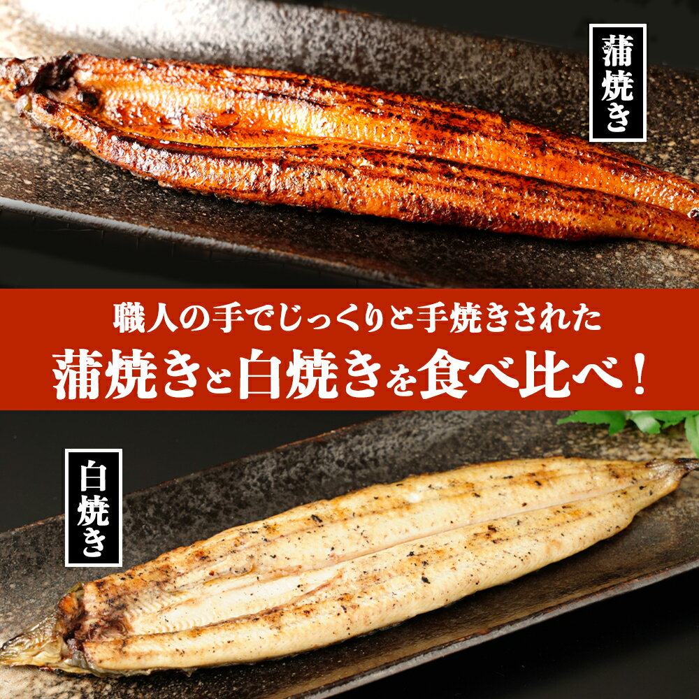 鹿児島県大崎町の画像2