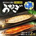 【ふるさと納税】父の日 鹿児島県大隅産 選べる 千歳鰻の白焼・蒲焼き セット | 訳あり うなぎ 鰻 かば焼き 白焼き 刻み鰻 蒲焼 ウナギ 国産鰻 国産うなぎ...
