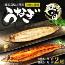 【ふるさと納税】土用丑の日 鹿児島県大隅産 選べる 千歳鰻の白焼・蒲焼き セット | 訳あり うなぎ 鰻 かば焼き 白焼き 刻み鰻 蒲焼 ウナギ 国産鰻 国産うなぎ 冷凍 小分け 真空パック 鹿児島 鹿児島県大崎町 鹿児島県産 大崎町