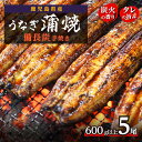 【ふるさと納税】 うなぎ 長蒲焼 5尾 600g 〜 備長炭