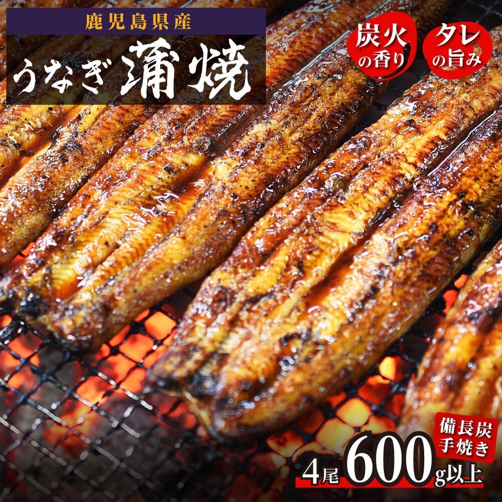 鹿児島県大隅産 うなぎ 長蒲焼 4尾 600g 以上 | ふるさと納税 うなぎ 高級 ウナギ 鰻 国産 蒲焼 蒲焼き たれ 九州地焼き 地焼き 備長炭焼 鹿児島 大隅 大崎町 ふるさと 人気 送料無料