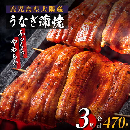 うなぎ 蒲焼 関東風蒸し焼き 3尾 セット 470g | ふるさと納税 うなぎ 高級 ウナギ 鰻 丑の日 国産 蒲焼 蒲焼き たれ 関東風 蒸し入り 鹿児島 大隅 大崎町 ふるさと 人気 送料無料