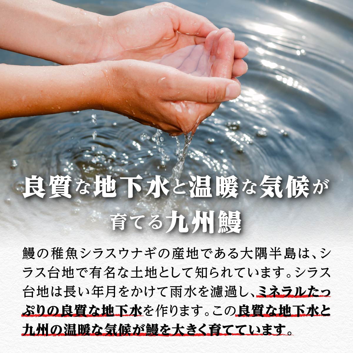 【ふるさと納税】うなぎ 備長炭焼 うな丼 パック 700g | ふるさと納税 うなぎ 高級 ウナギ 鰻 丑の日 国産 蒲焼 蒲焼き たれ うな丼 鰻丼 小分け 鹿児島 大隅 大崎町 ふるさと 人気 送料無料